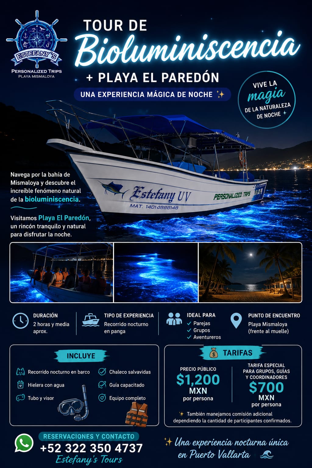 Bioluminiscencia en Puerto Vallarta: cuándo y cómo ver el mar brillar