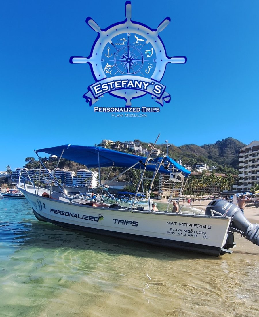 20_20250206_202002_0001 20_20250206_202002_0001