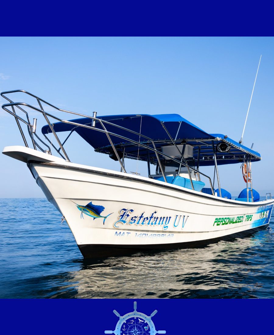 5_20241205_191512_0004 5_20241205_191512_0004