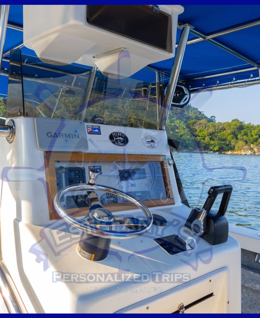 6_20241205_191512_0005 6_20241205_191512_0005