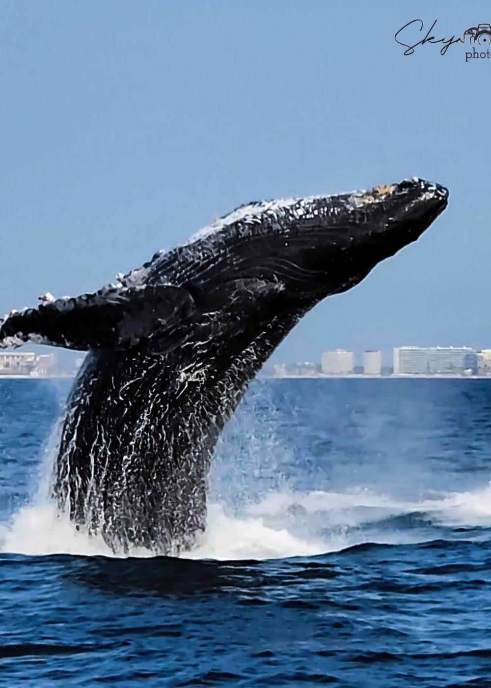 Screenshot_20250222_185314_Photos-gigapixel-high fidelity v2-2x Screenshot_20250222_185314_Photos-gigapixel-high fidelity v2-2x